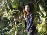 Who Will Survive? - Agents of S.H.I.E.L.D.