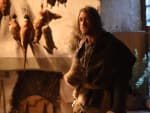 New Insight - The Bastard Executioner