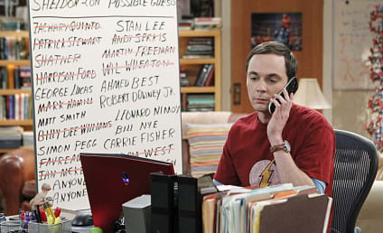 The Big Bang Theory Review: Lion Sleeps Tonight