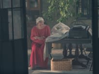 Understanding The Word - The Handmaid's Tale