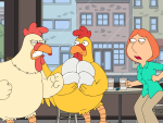 A Chick Fight