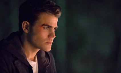 The Vampire Diaries Season 8 Episode 14 Review: It's Been a Hell of a Ride