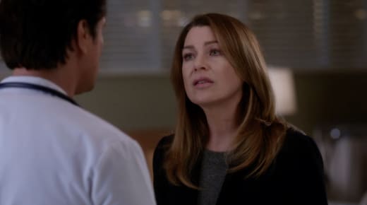 nathan and mer greys