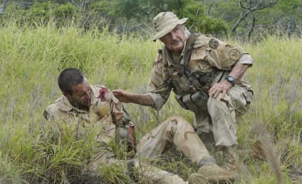 Hawaii Five-0 Season 8 Episode 24 Review: The Tough Branch That Does Not Break
