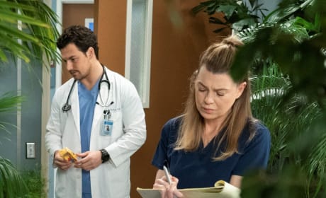 Grey's anatomy top s15e18 watch online