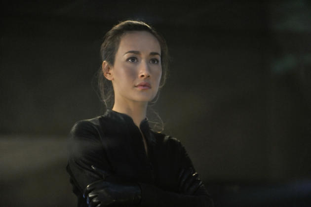 Nikita Finale Picture