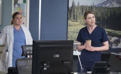 Grey's Anatomy Trio Sign New, Multi-Year Deals - Will the Show Continue Without Ellen Pompeo?