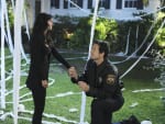 Proposing to Jules