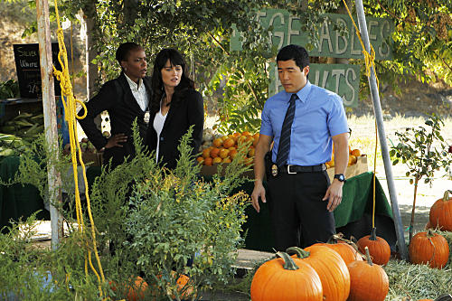 Farm Stand Investigation
