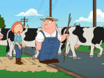 The Family Farm Business