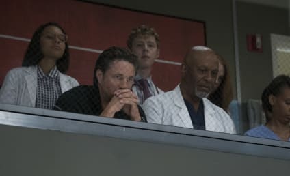 Grey's Anatomy Photo Preview: First Look at the Season 14 Premiere!