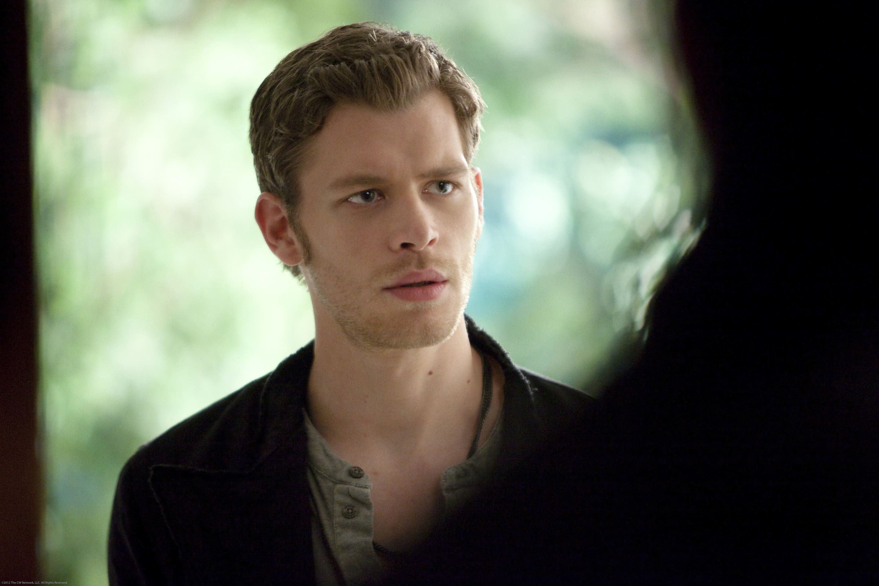 Klaus Vampire diaries  Joseph morgan, Matt vampire diaries, Klaus from  vampire diaries