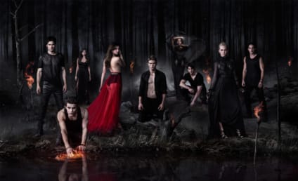 The Vampire Diaries Season 5 Poster: Rippling and Roaring
