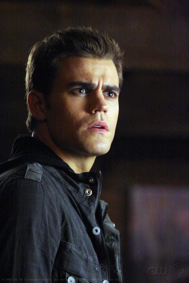 Paul Wesley as Stefan Salvatore