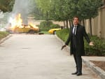 T. DiNozzo