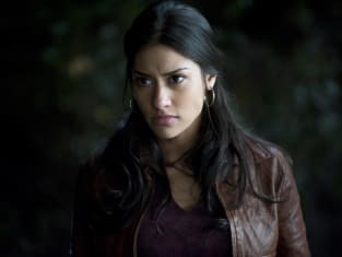 True blood season 1 hot sale episode 1 watch online