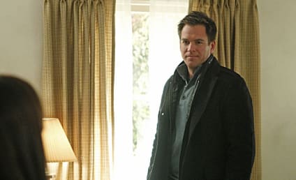 Michael Weatherly to Guest Star on Major Crimes