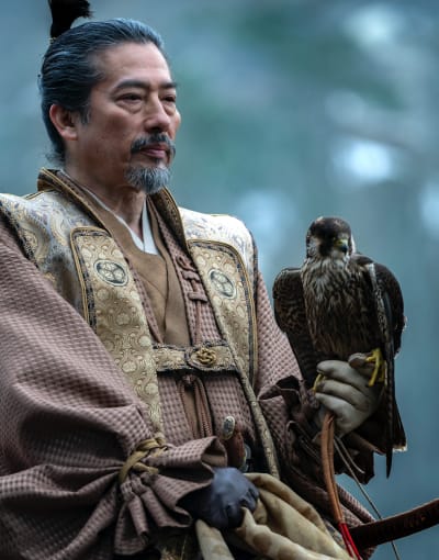 Toranaga and a Falcon - Shogun