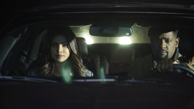 Deleting Information - Quantico