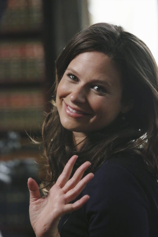Katie Lowes (Quinn Perkins)