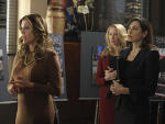 Rita Wilson on The Good Wife