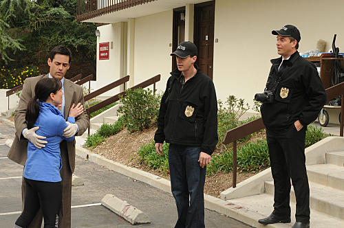 The Team Investigating