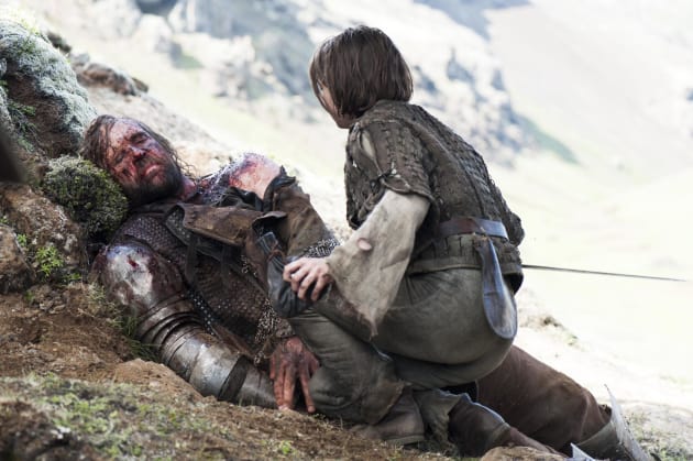 Leaving The Hound
