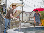 Ian and Lip