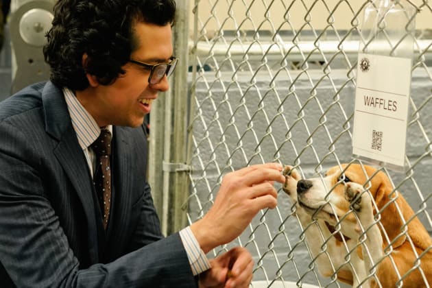 Puppy Love - Madam Secretary Season 4 Episode 16