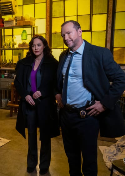 A Wealthy Victim - Blue Bloods Season 12 Episode 17