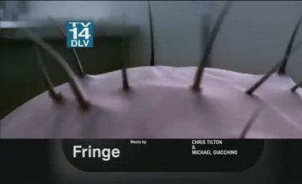 TV Ratings Report: All-Time Low for Fringe