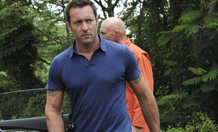 Hawaii Five-0 Season 6 Episode 2 Review: Ashes to Ashes
