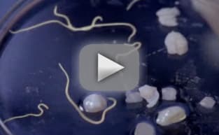 Grey s Anatomy Season 5 Episode 15 TV Fanatic