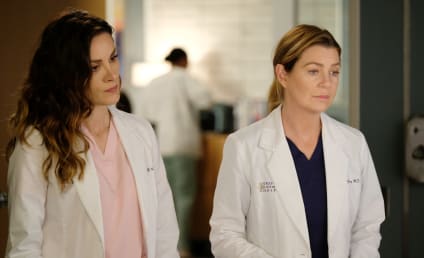 Grey's Anatomy: ABC Boss Addresses Final Season Speculation