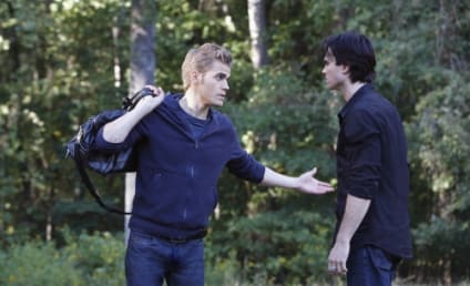 The Vampire Diaries Review: Damon Loves Elena!!!
