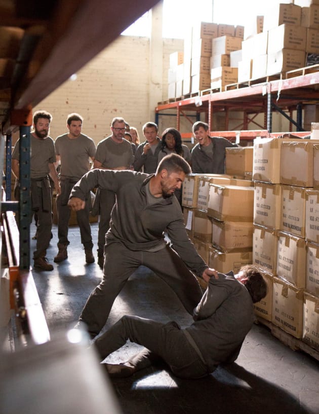 Fight Fight Fight - Colony Season 2 Episode 3