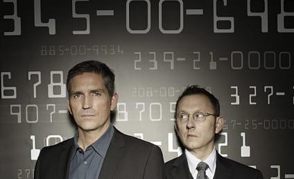 Person of Interest to End After Season 5