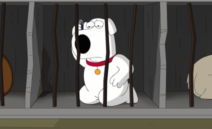 Family Guy Season 16 Episode 15 Review: The Woof of Wall Street