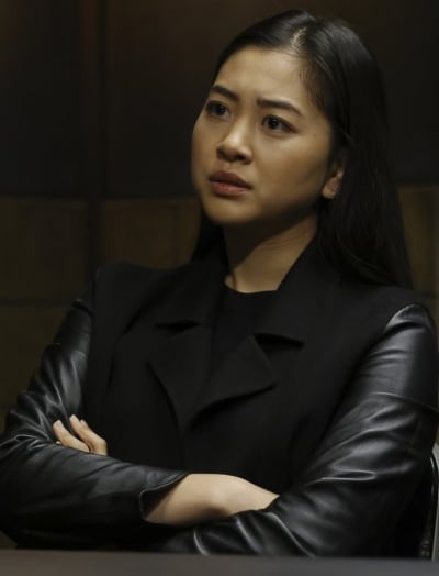 Investigating a Therapist -- Tall - The Blacklist Season 9 Episode 6