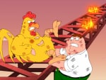 Peter vs. Chicken