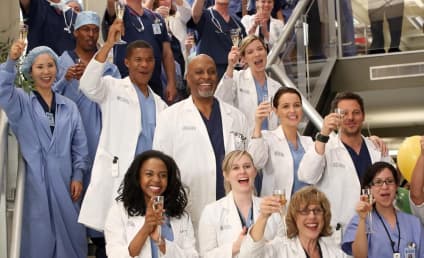 Grey's Anatomy Review: Raise Your Glass