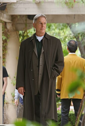 L.J. Gibbs