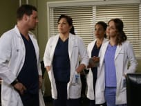 Watch greys anatomy new arrivals online season 12