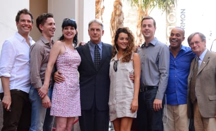 David McCallum Deserves a Fitting NCIS Tribute. Who Should Return?