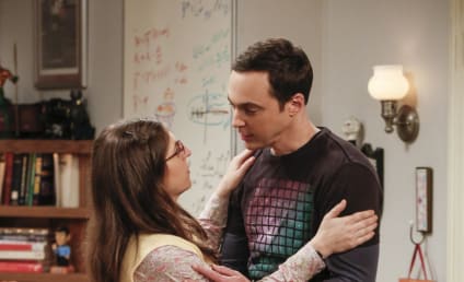 Watch The Big Bang Theory Online: Season 10 Episode 23