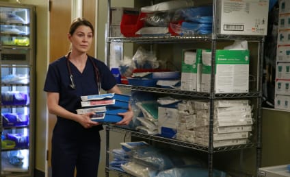 Grey's Anatomy Round Table: Why Didn't Meredith Call Amelia?