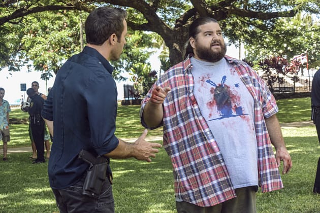 A Conspiracy Theorist Murder - Hawaii Five-0