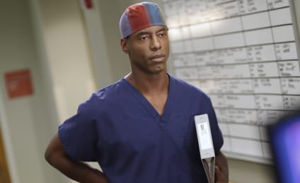Grey's Anatomy Season 12 Episode 9 Review: The Sound of Silence