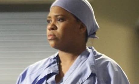 Grey's anatomy new arrivals season 3 free