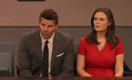 Bones Season 8 Spoilers: Where is Brennan? How Will Booth React?